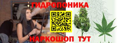 гидропоника Малгобек